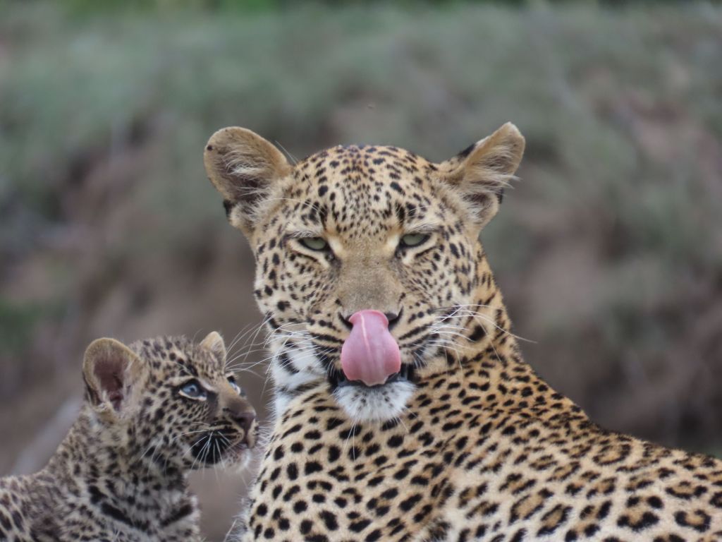 South Africa – Kruger National&nbsp;Park